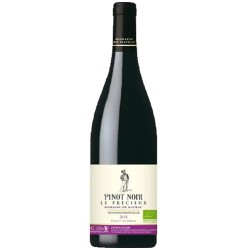 Vin rouge Pinot noir - Le Précieux 2021