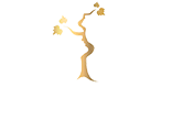 Domaine de Mayrac